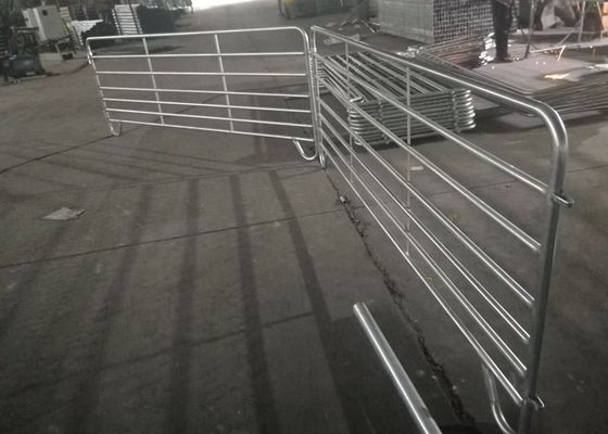 OEM Pre - Galvanized Cattle Yard Fence Panels , Metal Farm Fence Panels