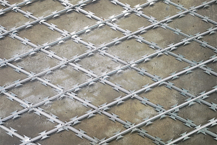 Welded Razor Barbed Wire Fence With 25-35mm Barbs And 75X150mm Mesh